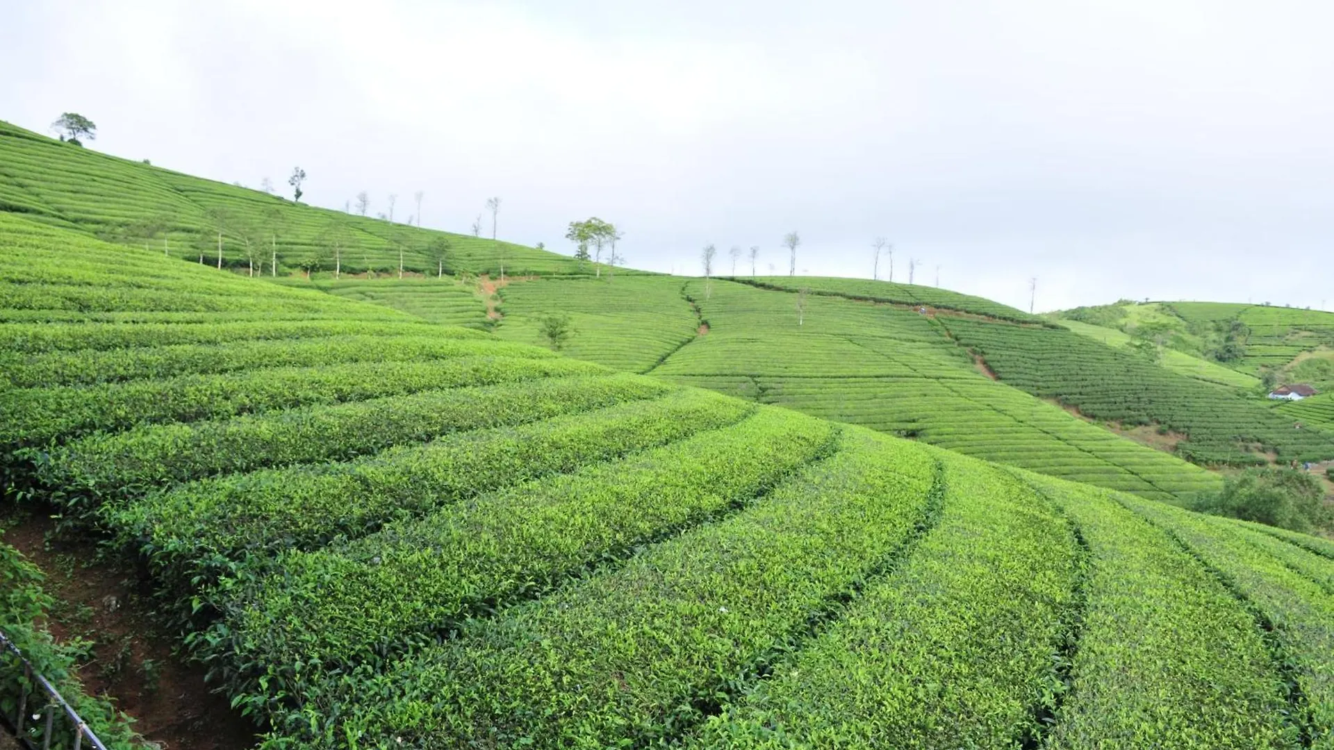 Villa Kudaram County Resort Vagamon India